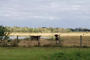 23310 Margerstadt Rd, Hockley, TX 77447 - Photo 27