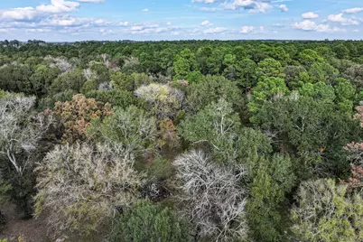 106 Roy Webb, Huntsville, TX 77320 - Photo 15