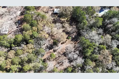 16044 Yaupon Berry, Plantersville, TX 77363 - Photo 5