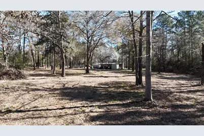 16044 Yaupon Berry, Plantersville, TX 77363 - Photo 7