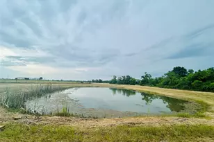 1240 Crooked Rd, Cat Spring, TX 78933 - Photo 21