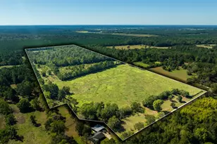 419 Marshall Ivy Rd, Huntington, TX 75949 - Photo 1