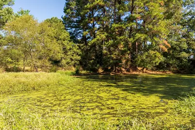 419 Marshall Ivy Road, Huntington, TX 75949 - Photo 3