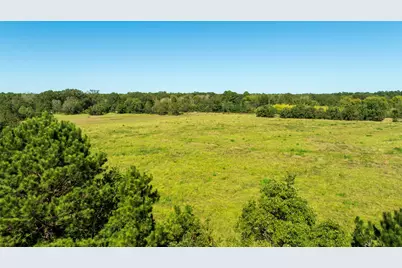419 Marshall Ivy Road, Huntington, TX 75949 - Photo 27