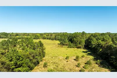 419 Marshall Ivy Road, Huntington, TX 75949 - Photo 29