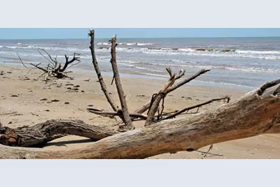 3569 County Road 202, Sargent, TX 77414 - Photo 9