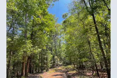 4 New Haven Road, Milam, TX 75948 - Photo 7