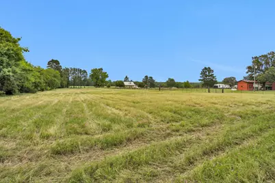 10.6 Acres Hogg Extension, Kennard, TX 75847 - Photo 43