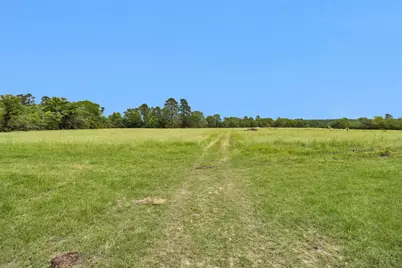 2955 Hogg Extension, Apple Springs, TX 75847 - Photo 39