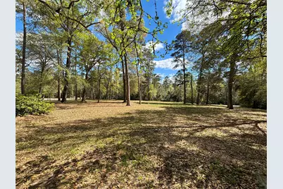 1733 US Highway 190 E, Woodville, TX 75979 - Photo 3