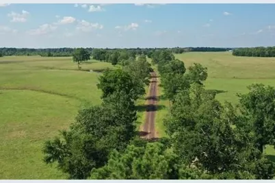 Trs 53 & 54 Cr 231, Centerville, TX 75833 - Photo 5