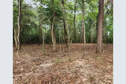 7595 Broussard Road, Beaumont, TX 77713 - Photo 3