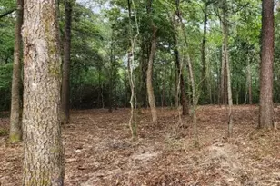 7595 Broussard Rd, Beaumont, TX 77713 - Photo 1