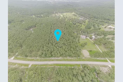 9947 Amelia Drive, Anderson, TX 77830 - Photo 7