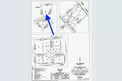 11830 Moss Grove Court, Willis, TX 77378 - Photo 5