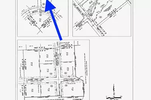 11830 Moss Grv Ct, Willis, TX 77378 - Photo 5