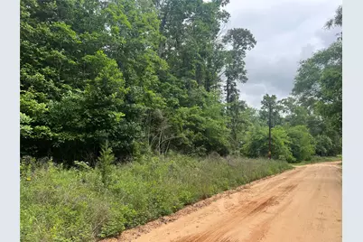 0 Patricia Drive, Livingston, TX 77351 - Photo 3