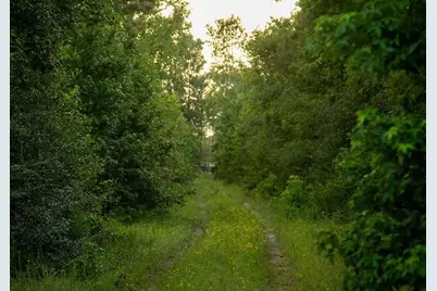 39 Coyote Run, New Waverly, TX 77378 - Photo 1