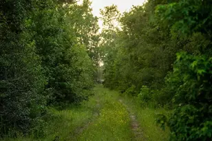 39 Coyote Run, New Waverly, TX 77378 - Photo 1