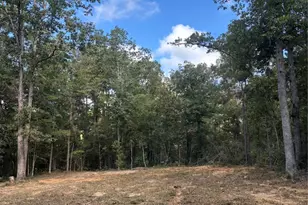 Lots 182-185 Conestoga Trail, Livingston, TX 77351 - Photo 1