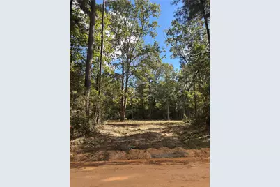 Lots 182-185 Conestoga Trail, Livingston, TX 77351 - Photo 3