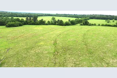 5189 County Road 4550, Pennington, TX 75856 - Photo 5