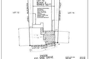 29006 Fig Vine Dr, Waller, TX 77484 - Photo 25