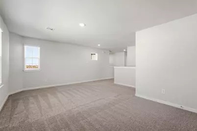 29006 Fig Vine Drive, Waller, TX 77484 - Photo 19