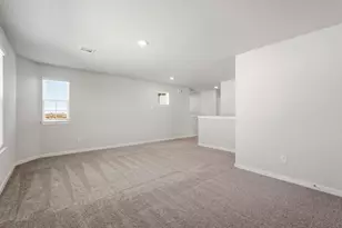 29006 Fig Vine Dr, Waller, TX 77484 - Photo 19