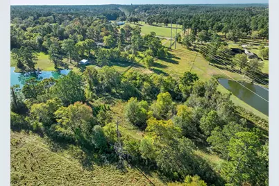 12029 Thompson Road, Willis, TX 77318 - Photo 23