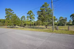 12029 Thompson Rd, Willis, TX 77318 - Photo 5