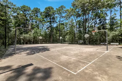 218 Blushwood Place, The Woodlands, TX 77382 - Photo 23