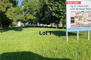 399 County Road 2268 Dr, Cleveland, TX 77327 - Photo 1