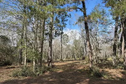 10825 Rose Royal Drive, Conroe, TX 77303 - Photo 13