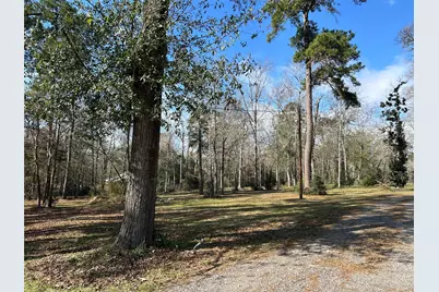 10825 Rose Royal Drive, Conroe, TX 77303 - Photo 11