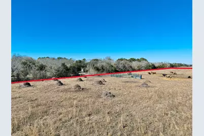 0 County Road 167, Alvin, TX 77511 - Photo 13