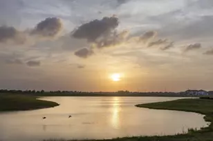 4918 Eldorado Rose Pl, Katy, TX 77493 - Photo 47