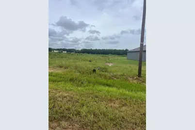 136 Road 51030, Cleveland, TX 77327 - Photo 9