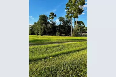 17205 Hufsmith Kohrville Road, Tomball, TX 77375 - Photo 3