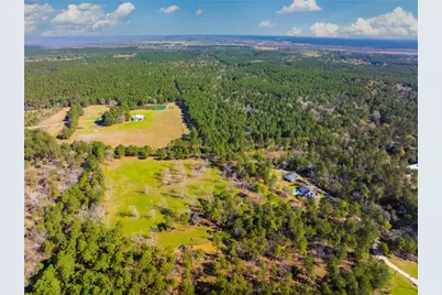 9191 Amelia Drive, Anderson, TX 77830 - Photo 11