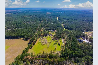 9191 Amelia Drive, Anderson, TX 77830 - Photo 15