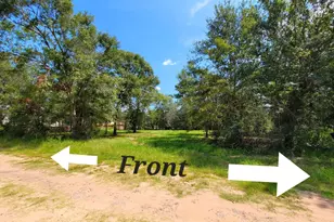 24649 Tipperary St, Hempstead, TX 77445 - Photo 1