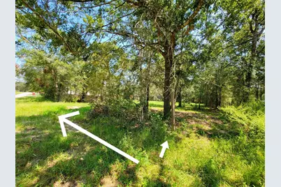 24649 Tipperary Street, Hempstead, TX 77445 - Photo 3