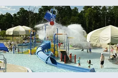 16 Florentino Vine Place, Magnolia, TX 77354 - Photo 39