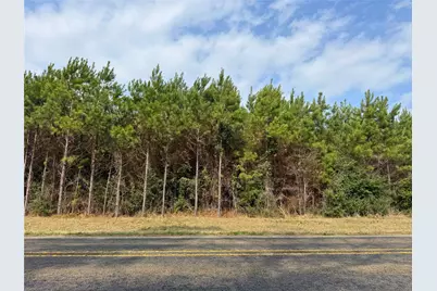 3 Menard Chapel Road, Livingston, TX 77351 - Photo 9