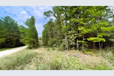 375 Rock Creek Drive, Trinity, TX 75862 - Photo 23