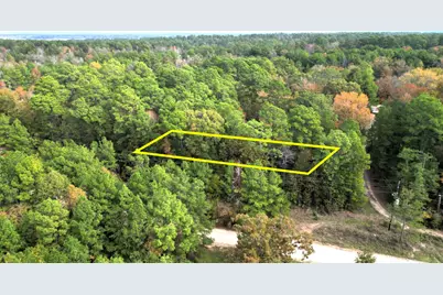 375 Rock Creek Drive, Trinity, TX 75862 - Photo 7