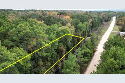 375 Rock Creek Drive, Trinity, TX 75862 - Photo 3