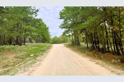 375 Rock Creek Drive, Trinity, TX 75862 - Photo 13