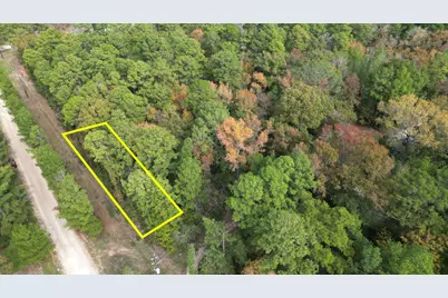 375 Rock Creek Drive, Trinity, TX 75862 - Photo 11